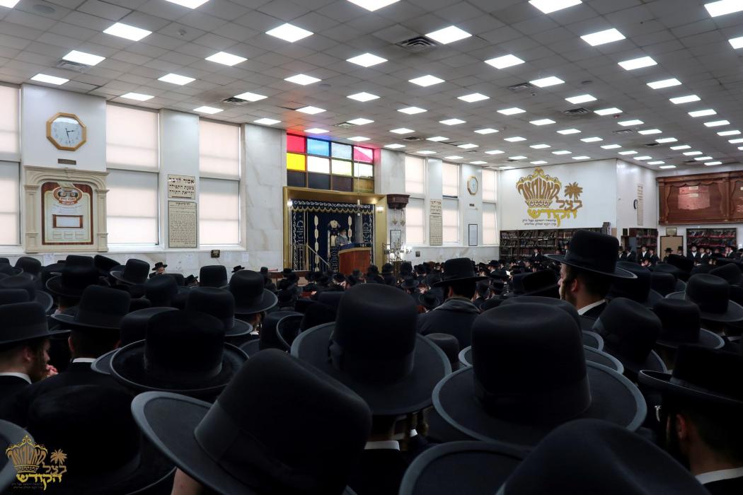 🌴בצל הקודש🌴 
רבינו שליט"א ביים משמיע זיין דב"ק ודב