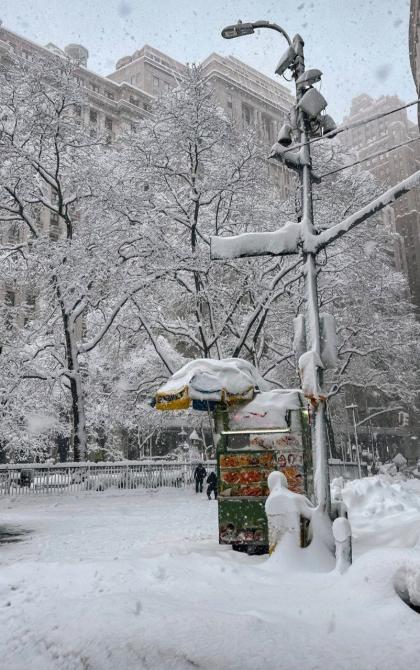 אויג פארכאפנד בילד פון ניו-יארק-סיטי, איינגעהילט א