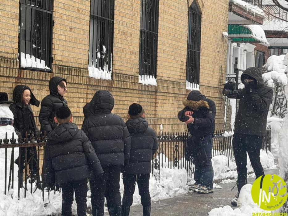 היסטארישע שניי בליזערד: בארא פארק - זיס, פאטאגראפי