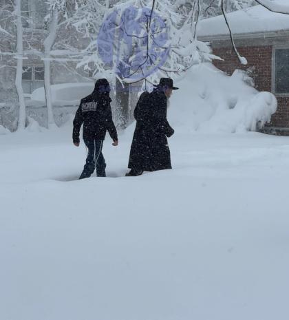 היסטארישע שניי בליזערד: לעיקוואוד - הגאון רבי מלכי