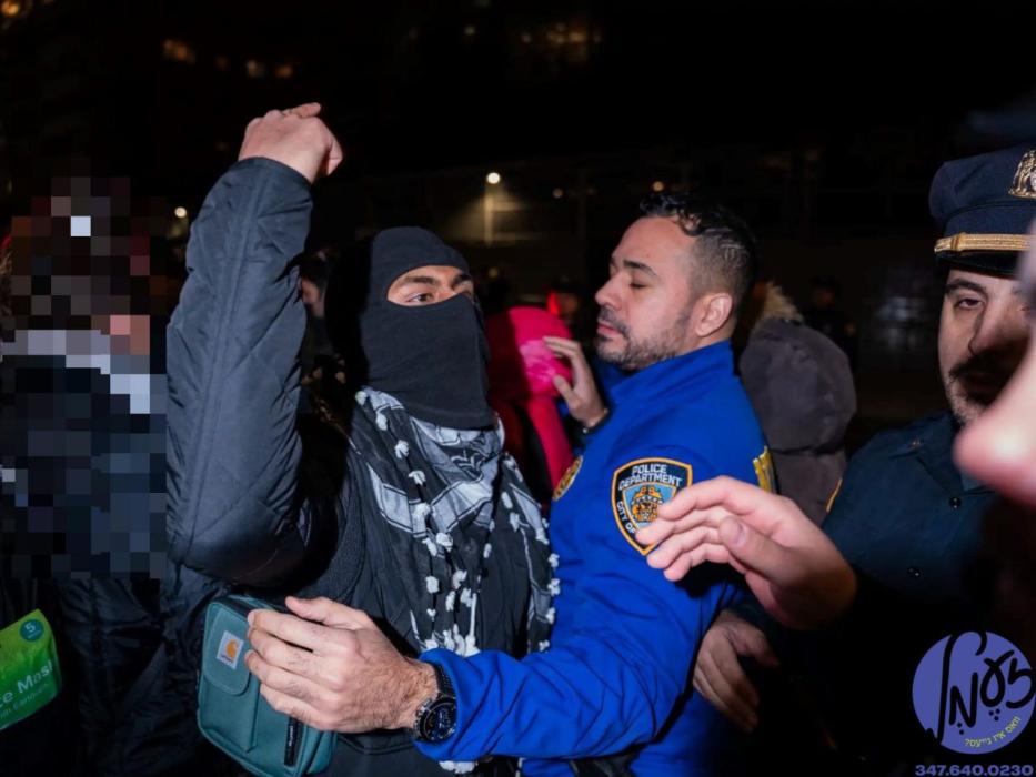 ניו יארק - די סיטי קאונסיל קאמיטע צו באקעמפן האס ה