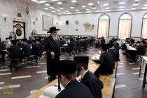 🌴בצל הקודש🌴 
רבינו שליט"א ביים זיך אומקוקן אויף די