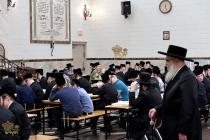 🌴בצל הקודש🌴 
רבינו שליט"א ביים זיך אומקוקן אויף די