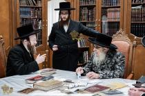 🌴בצל הקודש🌴
רבינו שליט"א ביים פארהערן די תלמידי יש