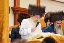 שלה"ט 'משתה היין' ביום הפורים