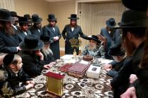 🌴בצל הקודש🌴
מסיבת לחיים בקודש פנימה לרגל די התחלת 