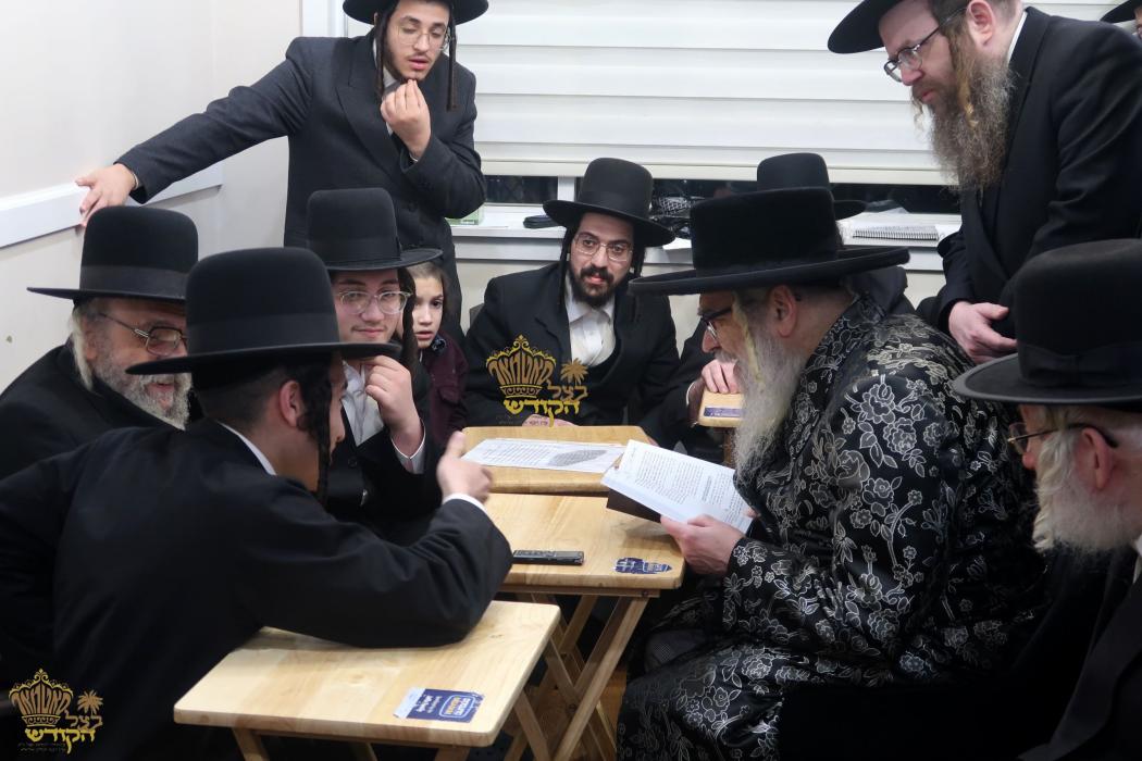 🌴בצל הקודש 🌴
רבינו שליט''א ביי ניחום אבלים ביי משפ