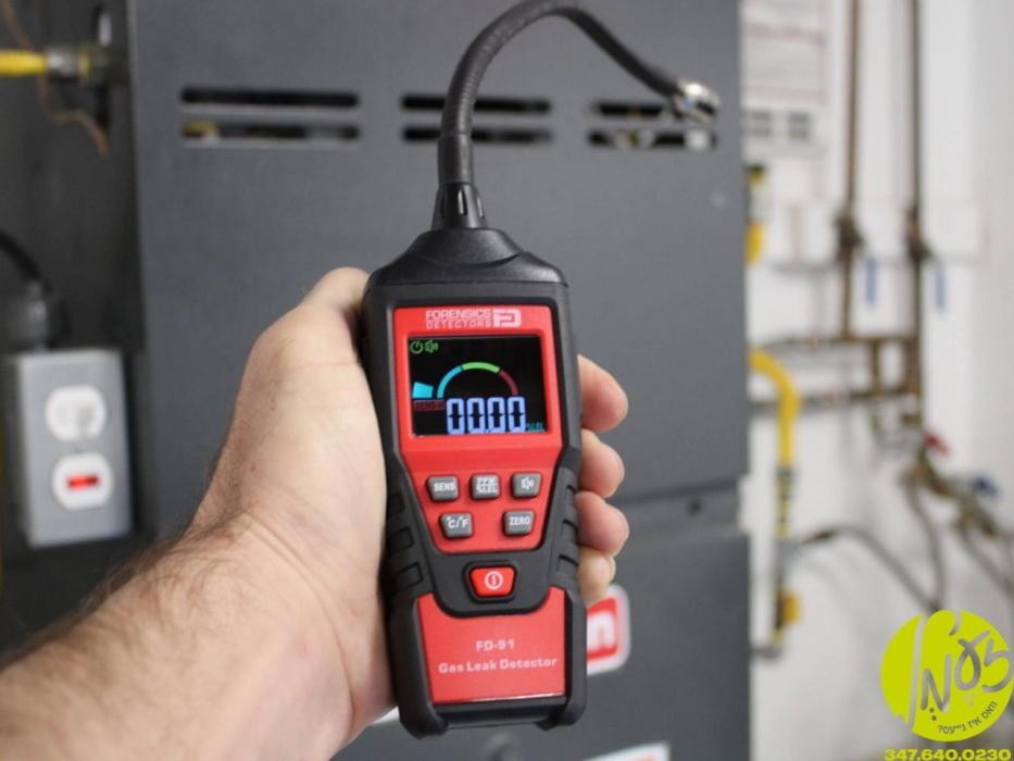 וויליאמסבורג - די שנעלע רעספאנס פון צוויי געטרייע 