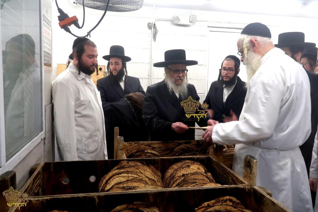 🌴בצל הקודש🌴 
רבינו שליט"א אויף א באזוך אינעם מצה ב