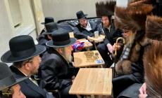 🌴בצל הקודש🌴 
רבינו שליט"א ביי ניחום אבילים ביי משפ