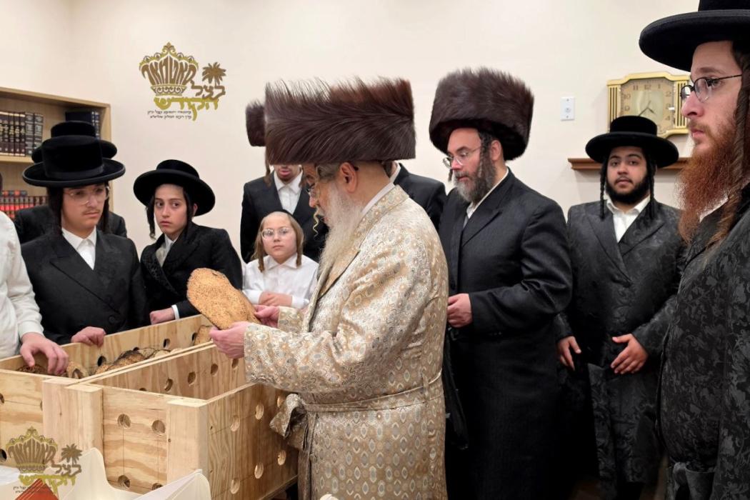 🌴בצל הקודש🌴 
רבינו שליט''א ביים מסדר זיין די מצות 