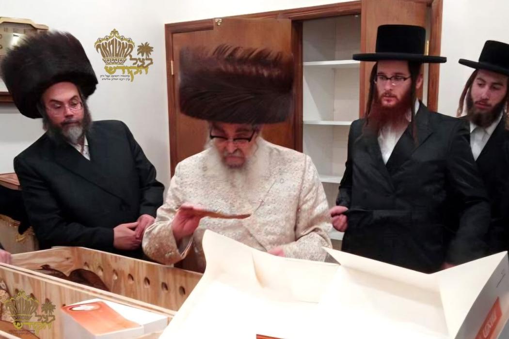 🌴בצל הקודש🌴 
רבינו שליט''א ביים מסדר זיין די מצות 