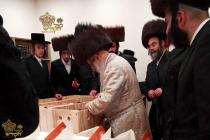 🌴בצל הקודש🌴 
רבינו שליט''א ביים מסדר זיין די מצות 