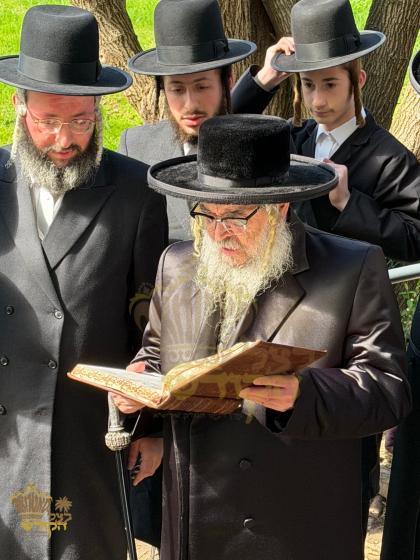 🌴בצל הקודש🌴 
רבינו שליט"א ביי ברכת אילנות היינט ער