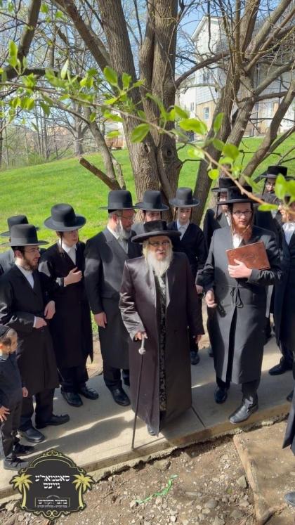 כ''ק רבינו הגה''ק שליט"א ביי ברכת אילנות היינט ערש