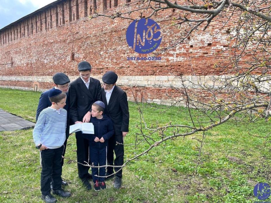 רוסלאנד - אידן מאכן ברכת אילנות אין שטאט סמאלאנסק.