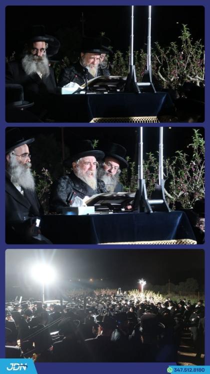 האדמו"ר מראחמיסטריווקא ביי ברכת אילנות