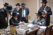 🌴בצל הקודש🌴
הגאון רבי צבי גרינהויז שליט"א - ראש כו