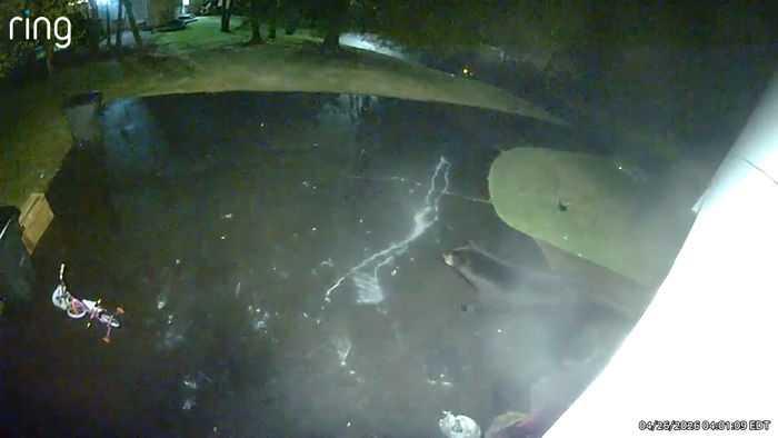 זומער סעזאן אין פולן שוואונג. 

א בער באזוכט די הו