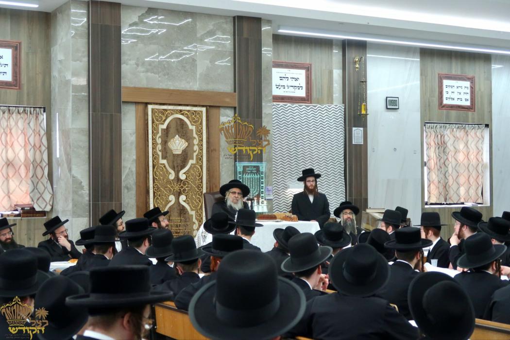 🌴בצל הקודש🌴
רבינו שליט"א ביים מסיבת לחיים נאך תפיל