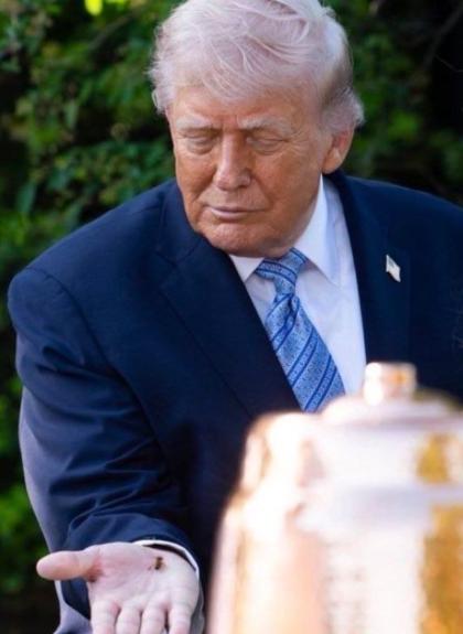 פרעזידענט טראמפ איז בראוו און האלט א בין פון די וו