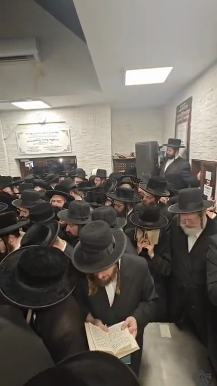 בנינו ערבים לנו

כ"ק מרן רבינו שליט"א איז מעורר רח