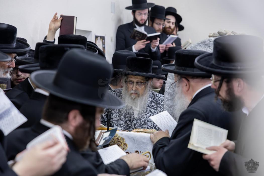 בטוח אני באלה ובזכות שלשת אבות

התעוררות'דיגער מעמ