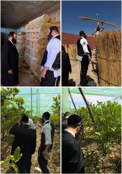 מאראקא - מפקחי מערכת הכשרות שע"י התאחדות הרבנים בא