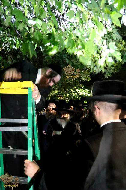 🌴בצל הקודש🌴 
רבינו שליט"א ביים מקיים זיין מצות שיל