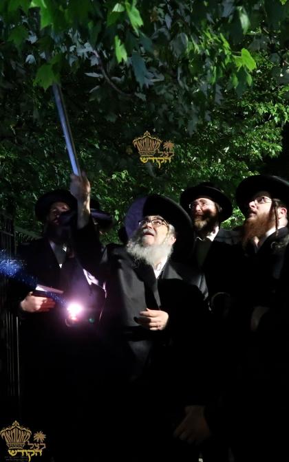 🌴בצל הקודש🌴 
רבינו שליט"א ביים מקיים זיין מצות שיל