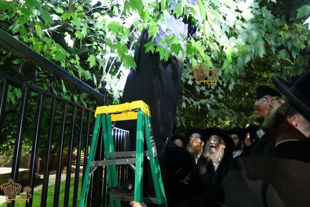 🌴בצל הקודש🌴 
רבינו שליט"א ביים מקיים זיין מצות שיל