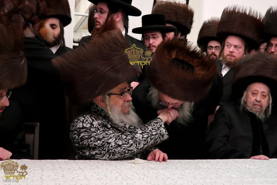 🌴בצל הקודש🌴
רבינו שליט"א ביים שמחת החתונה פון נכד 