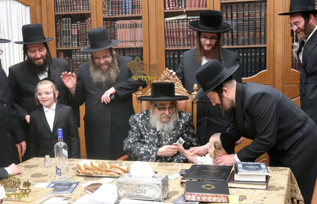 🌴בצל הקודש🌴 
מסיבת לחיים היינט נאך די זמני כניסה ב