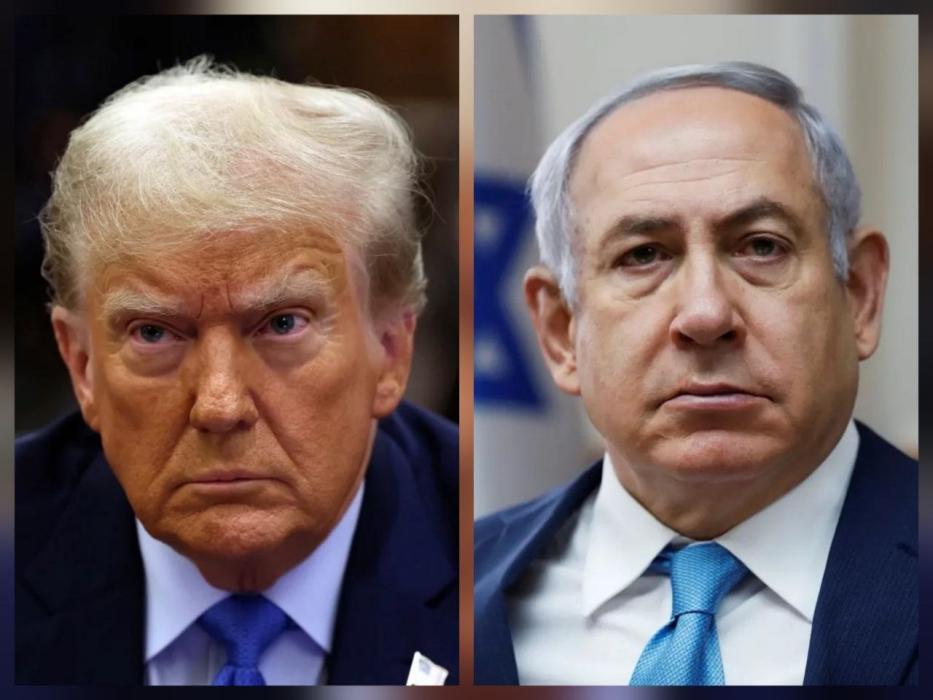 פרעזידענט טראמפ באשטעטיגט אז ער האט גענוצט א שעלט 