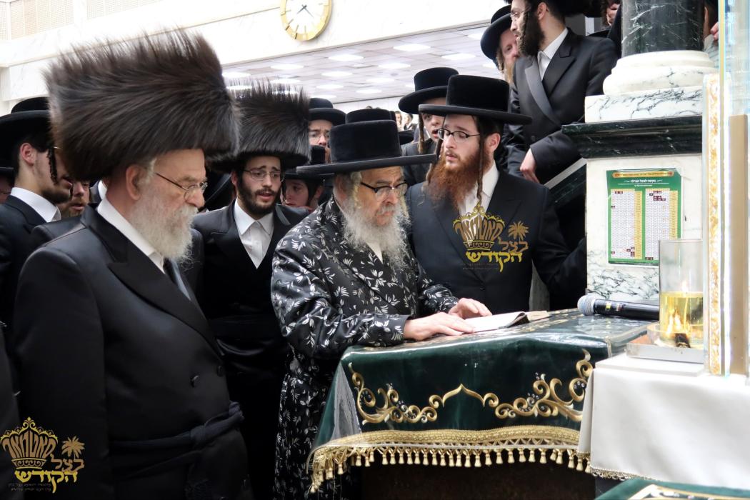 🌴בצל הקודש🌴 
רבינו שליט"א ביים שמחת הכנסת ספר תורה