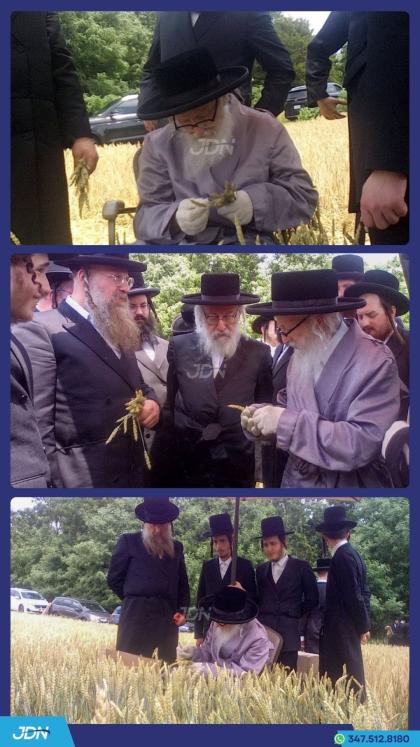 האחים האדמו"רים מסערדאהעלי און וויען ביים שניידן ו