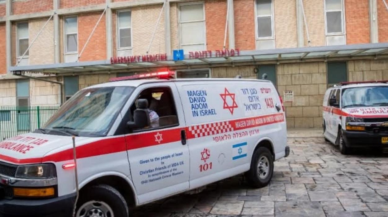 שאקירנד: פיר קליינע בעביס זענען געווארן אריינגעפיר