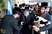 🌴בצל הקודש🌴
רבינו שליט"א ביים אראפקומען פונעם פריו
