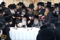 🌴בצל הקודש🌴
רבינו שליט"א אויף א באזוך ביי כ"ק אדמו