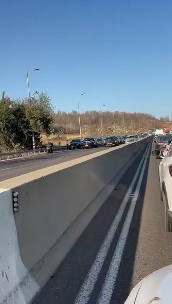 פאליציי אין מדינת ישראל זאגן אז די קאר פראטעסט פאר