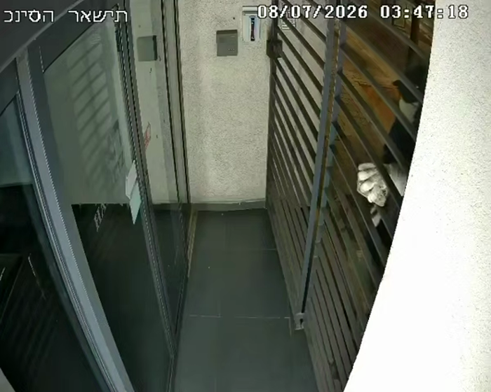 א פארמאסקירטע פארשוין איז געזען געווארן צעקראכן די