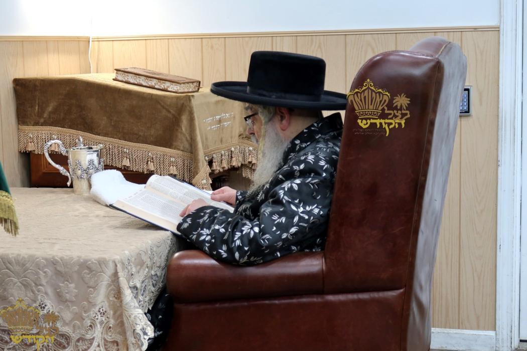 🌴בצל הקודש🌴
רבינו שליט"א ביים עוסק זיין בתורה צווי