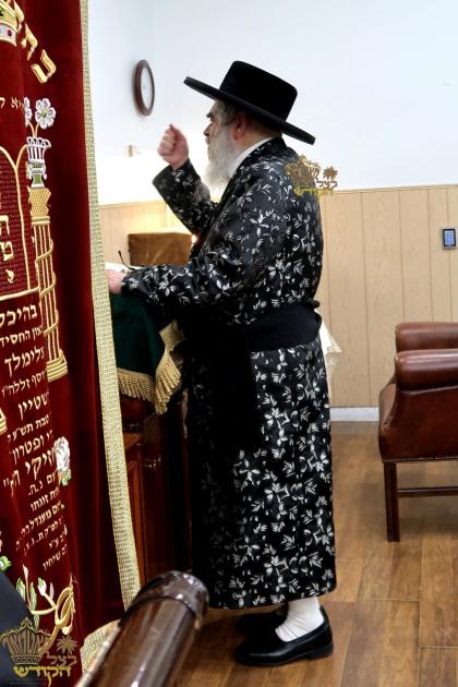 🌴בצל הקודש🌴
רבינו שליט"א ביים עוסק זיין בתורה צווי