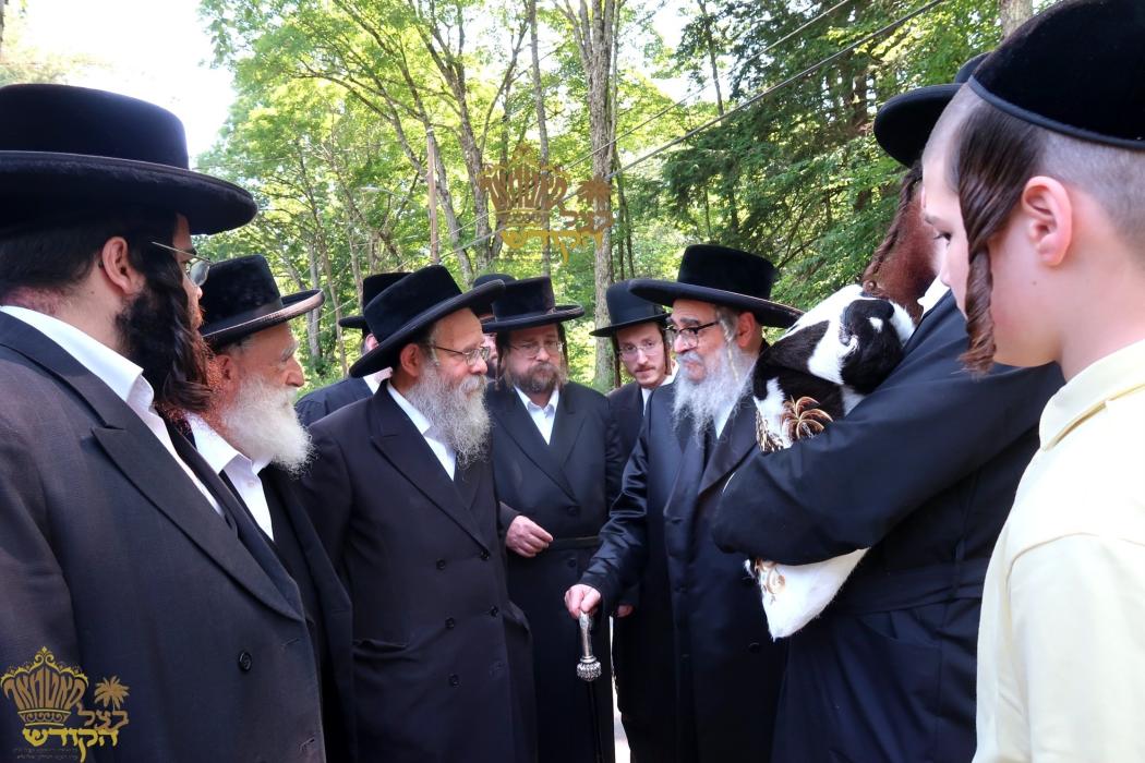 🌴בצל הקודש🌴
רבינו שליט"א במקום הנופש אין בעטלעהעם 