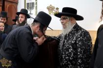 🌴בצל הקודש🌴
אנשי שלומינו ביים שלום נעמען פון רבינו