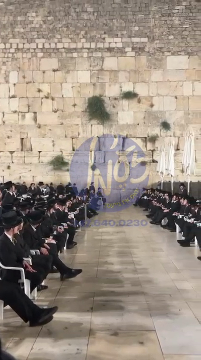 ירושלים - תלמידי ישיבת בעלזא פון ביתר ביים זינגען 