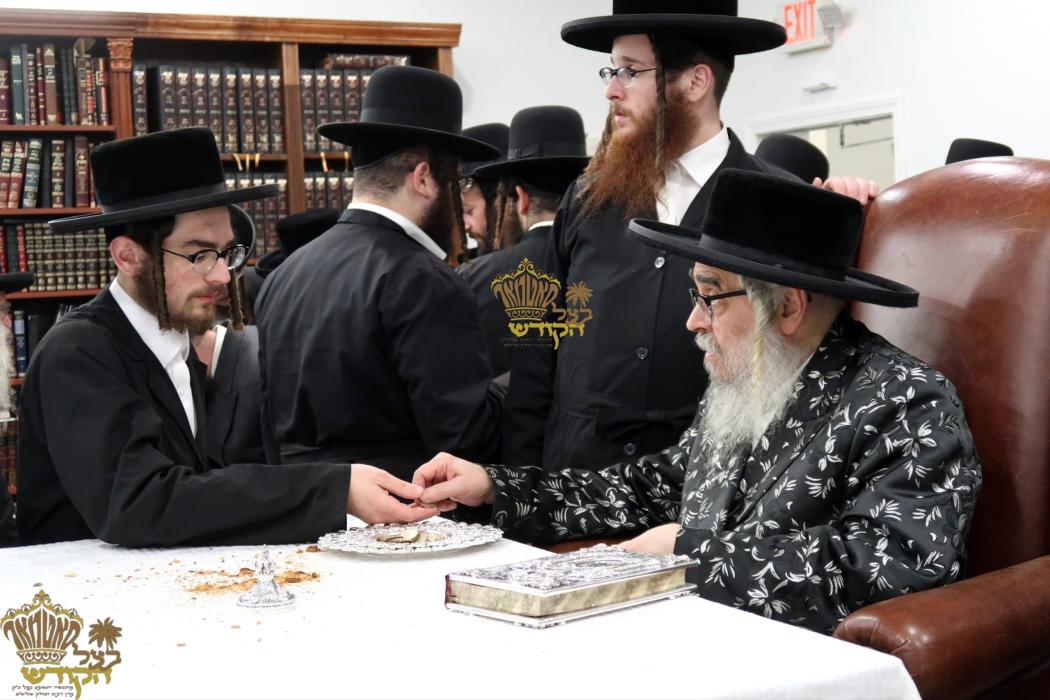 🌴בצל הקודש🌴
רבינו שליט"א ביי תפילת שחרית ואמירת הל