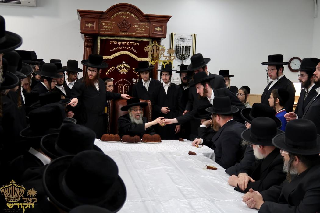 🌴בצל הקודש🌴 
רבינו שליט"א ביים לייגן תפילין פאר בר