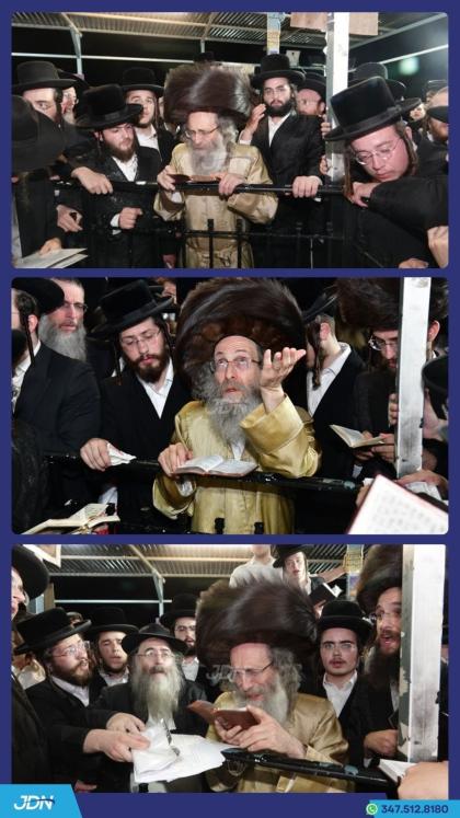 הגה"צ רבי אלימלך בידערמאן איז מתפלל ביים ציון פונע