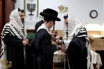 🌴בצל הקודש🌴 
רבינו שליט"א ביים לייגן תפילין פאר בר